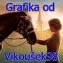 Vikousek98